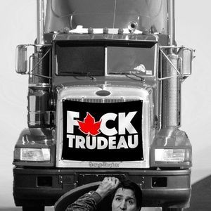 Meet your Posher, Shane